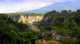 Ngarai Sianok, Pemandangan Paling Cantik di Sumatera Barat. (Dok. Sumbarprov.go.id) 
