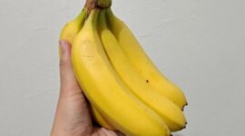 Pisang mengandung karbohidrat yang mudah dicerna, seperti glukosa, fruktosa, dan sukrosa. (Dok. Persda.com/Banny Rachman)