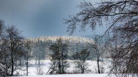 Ilustrasi Puncak Suhu Dingin. (Pixabay.com/silben)
