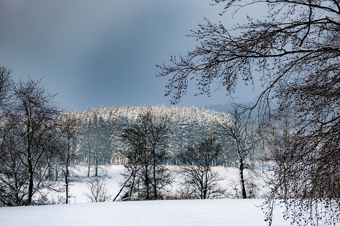 Ilustrasi Puncak Suhu Dingin. (Pixabay.com/silben)
