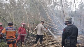 Hutan dan lahan di wilayah Kabupaten Ogan Komering Ilir (OKI), Sumatera Selatan Terbakar. (Dok. BNPB) 
