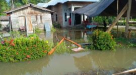 Kondisi banjir di Kab Luwu Utara, Senin (3/6/2024). (Dok. BPBD Kab Luwu Utara)