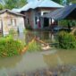 Kondisi banjir di Kab Luwu Utara, Senin (3/6/2024). (Dok. BPBD Kab Luwu Utara)